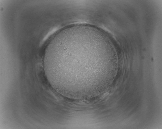 X0000070431255200606231909