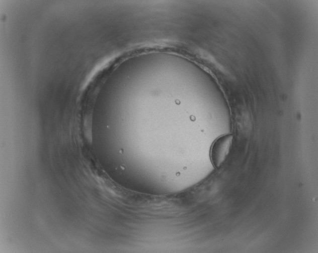 X0000070431256200606231909