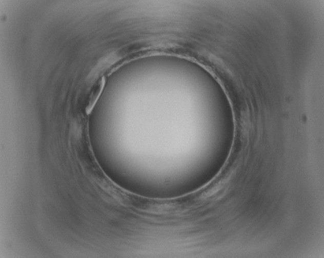 X0000070431257200606231909