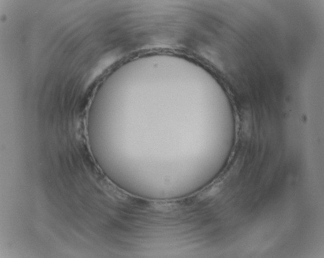 X0000070431258200606231909