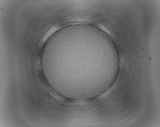 X0000070431259200606231909