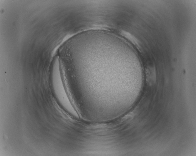 X0000070431260200606231909