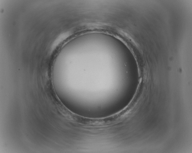 X0000070431261200606231909