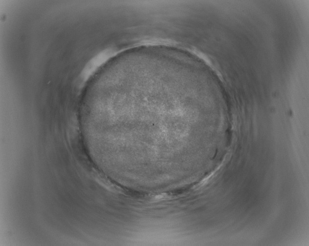 X0000070431263200606231909