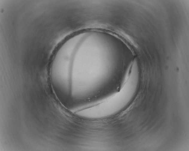 X0000070431264200606231909