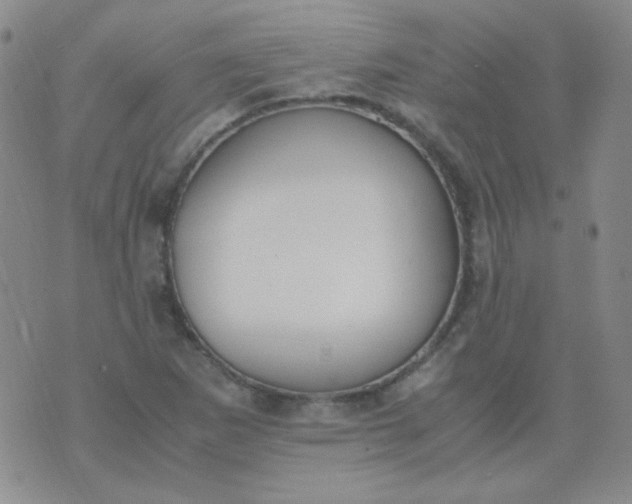 X0000070431265200606231909