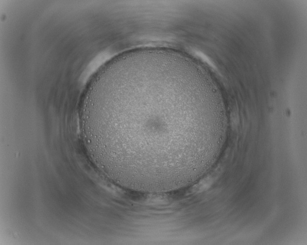 X0000070431267200606231909