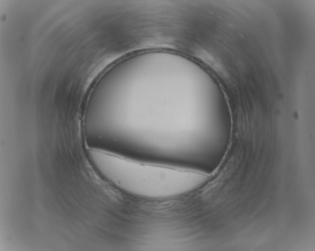 X0000070431268200606231909