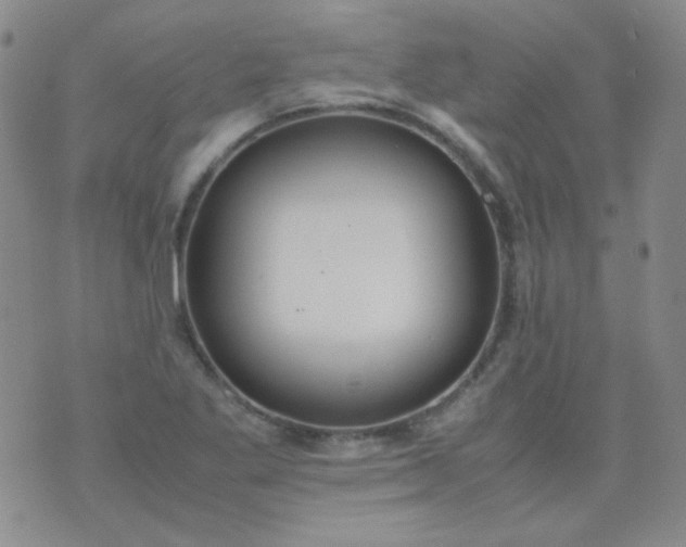 X0000070431269200606231909