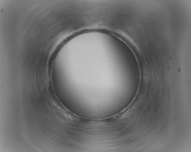 X0000070431270200606231909