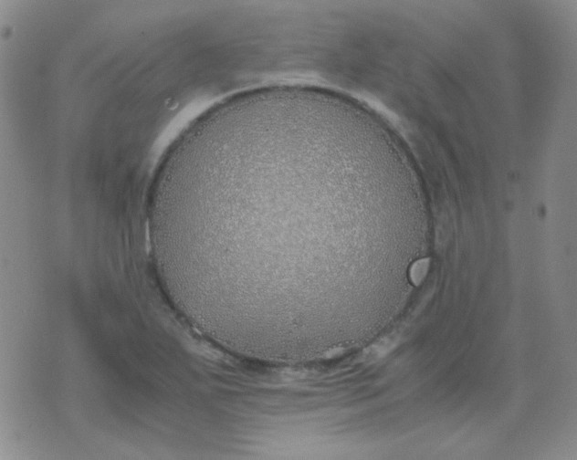 X0000070431271200606231909