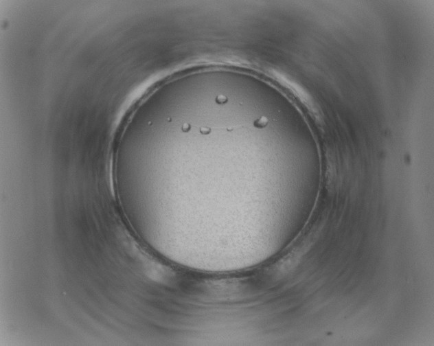 X0000070431272200606231909