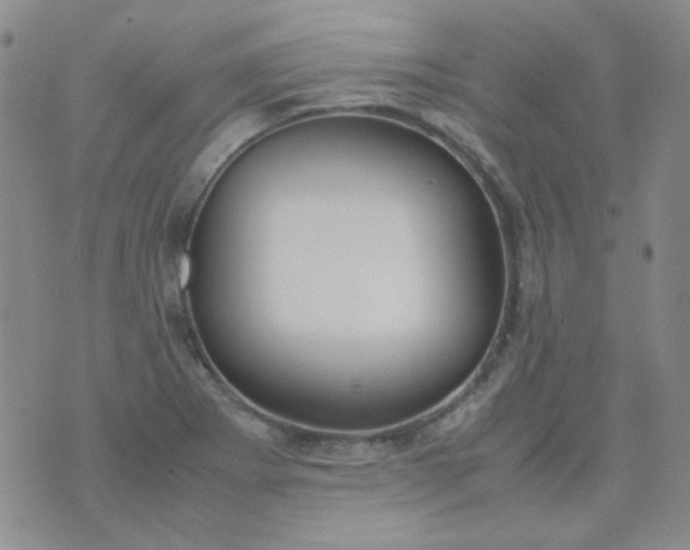 X0000070431273200606231909