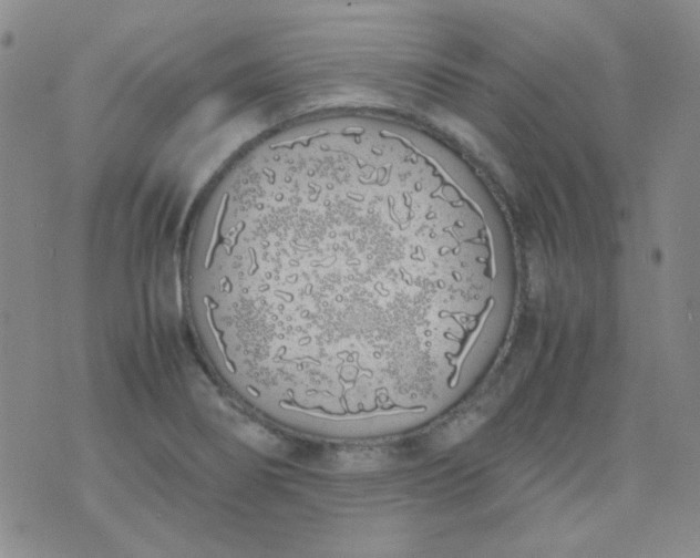 X0000070431274200606231909