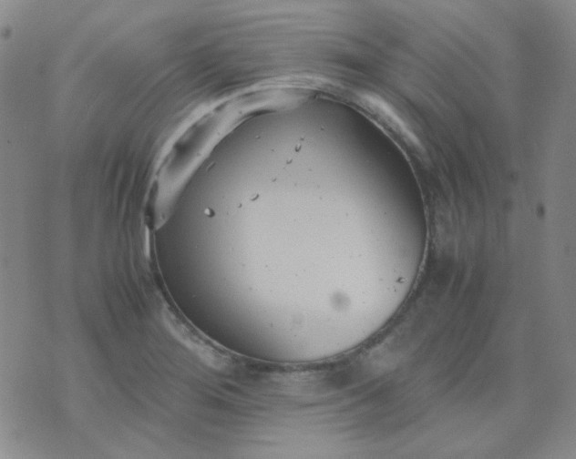 X0000070431276200606231909