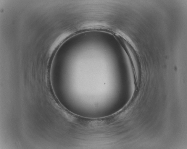 X0000070431277200606231909