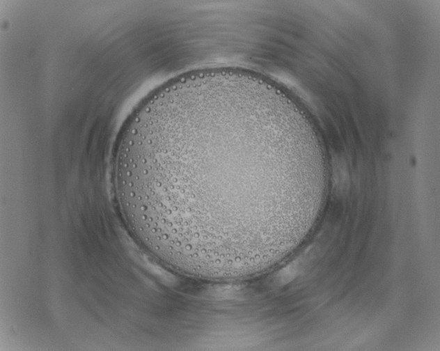 X0000070431278200606231909