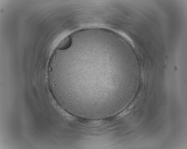 X0000070431279200606231909