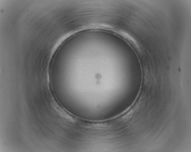 X0000070431280200606231909