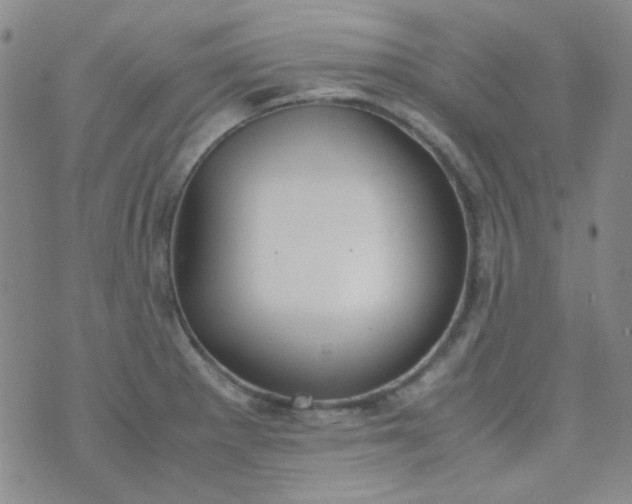 X0000070431281200606231909