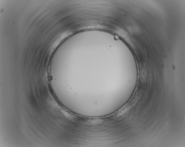 X0000070431282200606231909