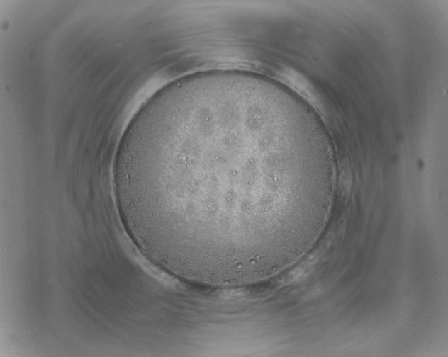 X0000070431283200606231909