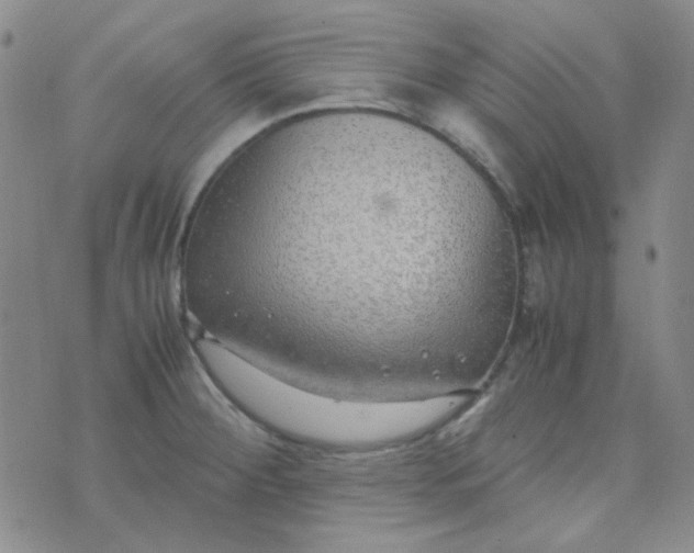 X0000070431284200606231909