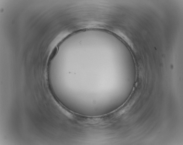 X0000070431285200606231909