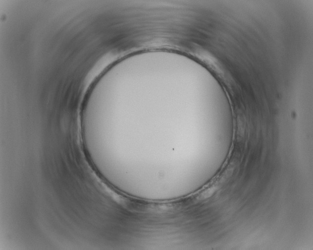 X0000070431286200606231909