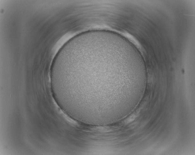 X0000070431287200606231909