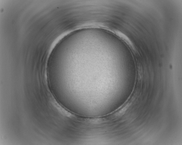 X0000070431288200606231909