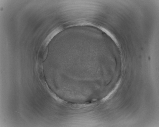 X0000070431289200606231909