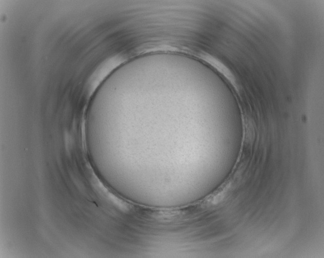 X0000070431290200606231909