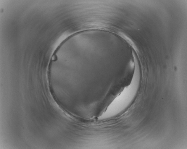 X0000070431291200606231908