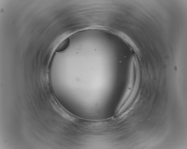 X0000070431292200606231908