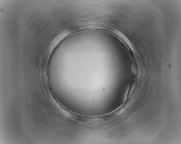 X0000070431293200606231908