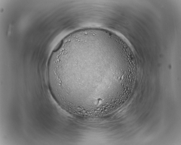 X0000070431295200606231908