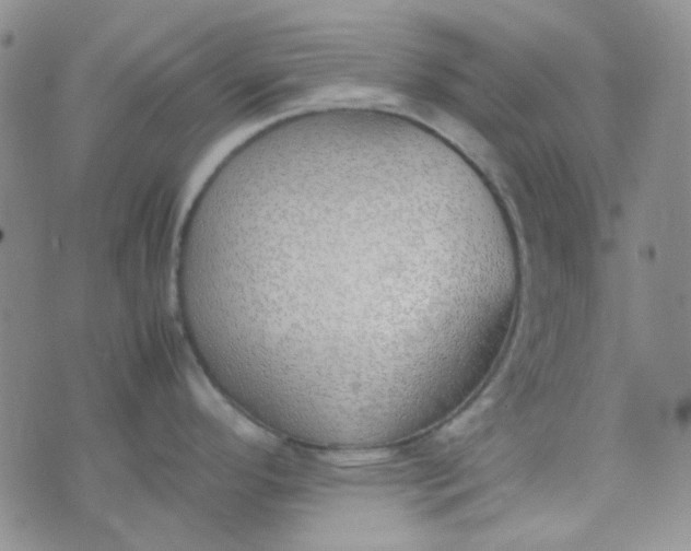 X0000070431296200606231908