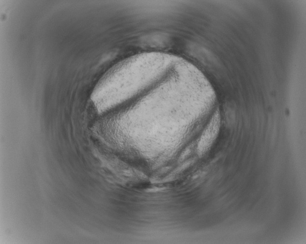 X0000070431297200606231908