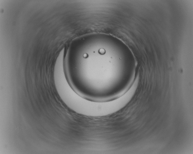 X0000070431298200606231908