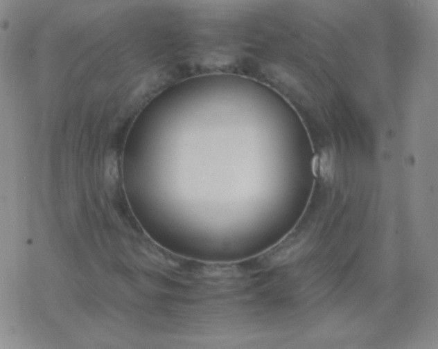 X0000070431299200606231908