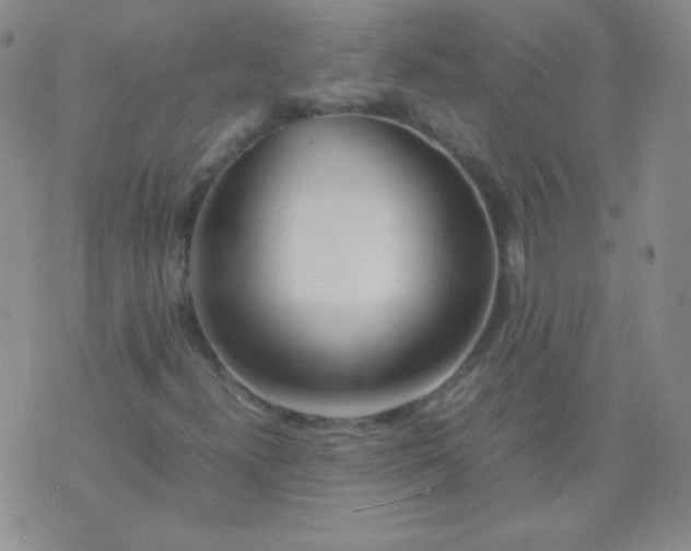 X0000070431300200606231908