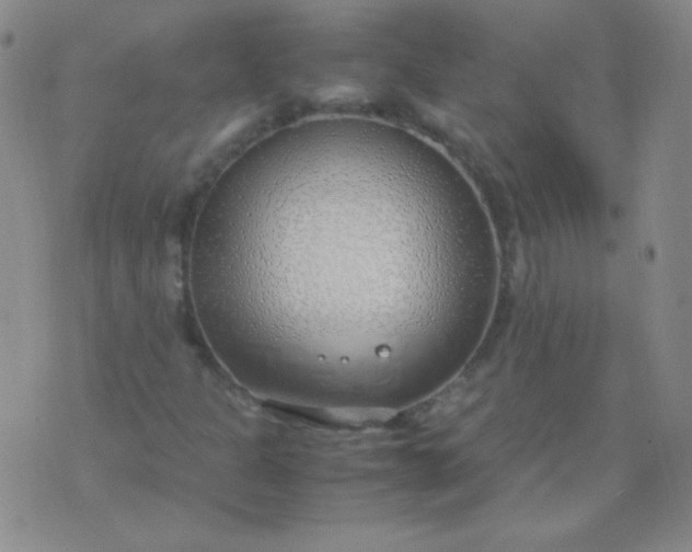 X0000070431301200606231908