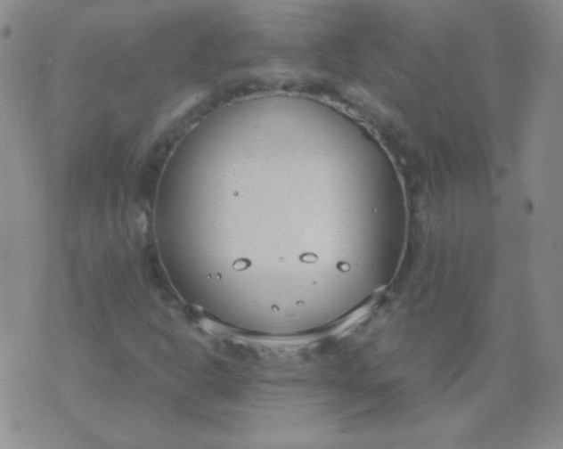 X0000070431302200606231908