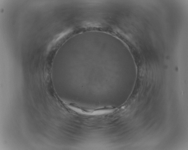 X0000070431303200606231908