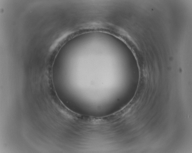 X0000070431304200606231908