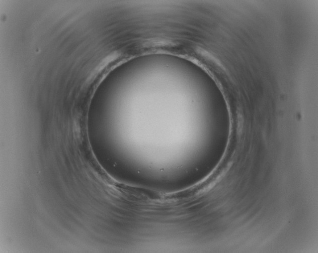 X0000070431305200606231908