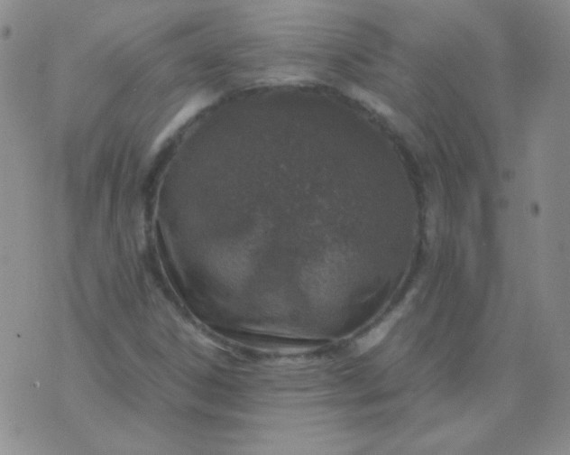 X0000070431306200606231908