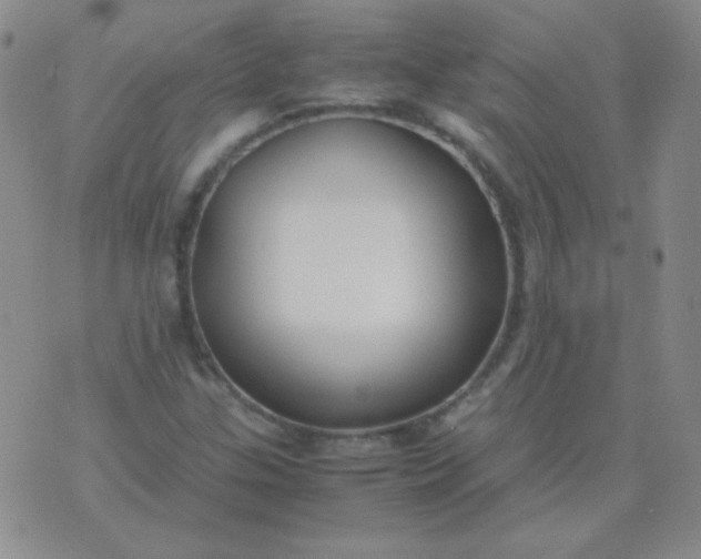 X0000070431307200606231908