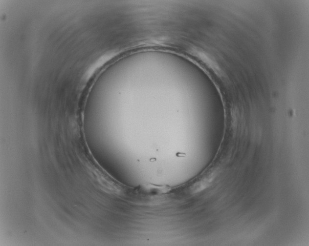 X0000070431308200606231908